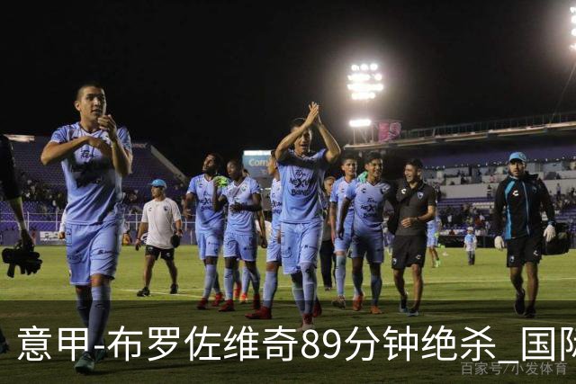 意甲-布罗佐维奇89分钟绝杀 国际米兰夺主场3连胜